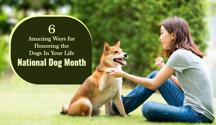 6 Amazing Ways for Honoring the Dogs In Your Life |National Dog Month 2022
