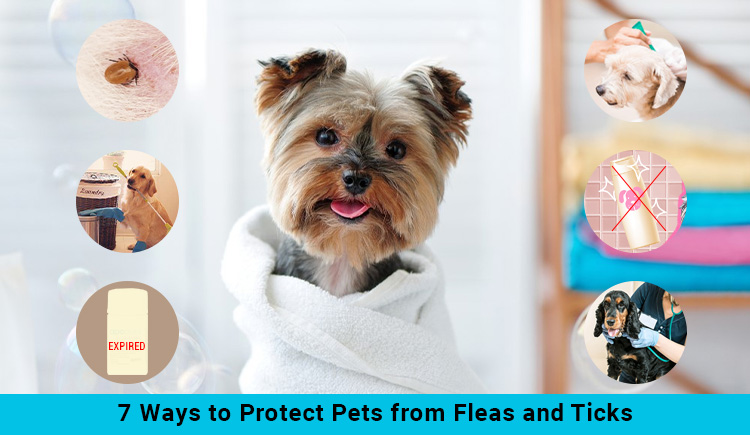 7 Ways to Protect Pets from Fleas and Ticks