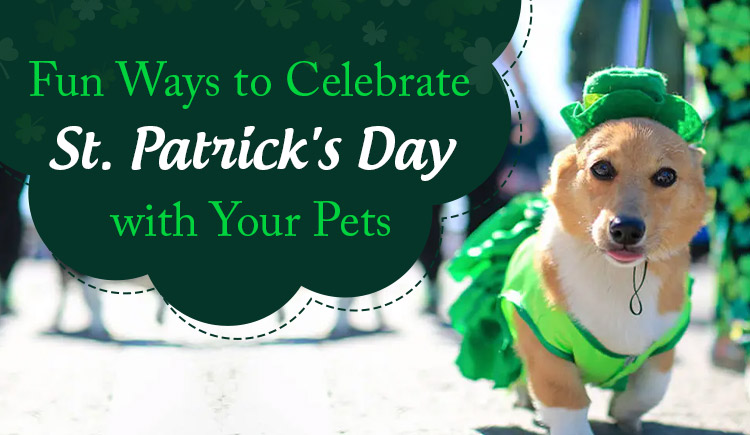Fun Ways to Celebrate St. Patrick's Day with Your Pets