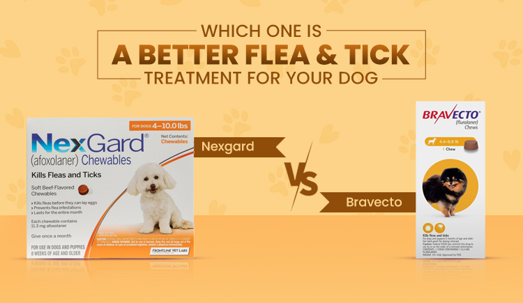 Which One is a Better Flea and Tick Treatment for Your Dog, Nexgard or Bravecto?
