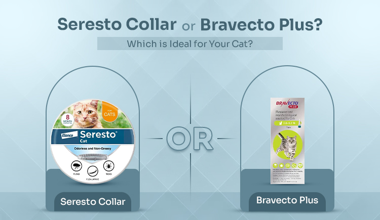 Seresto Collar or Bravecto Plus? Which is Ideal for Your Cat?