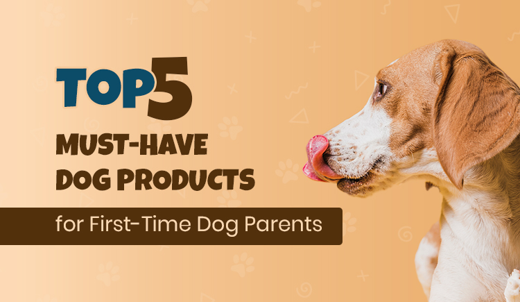 Top 5 Must-Have Dog Products for First-Time Dog Parents