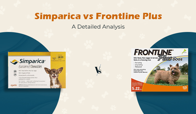 Simparica vs. Frontline Plus – A Detailed Analysis