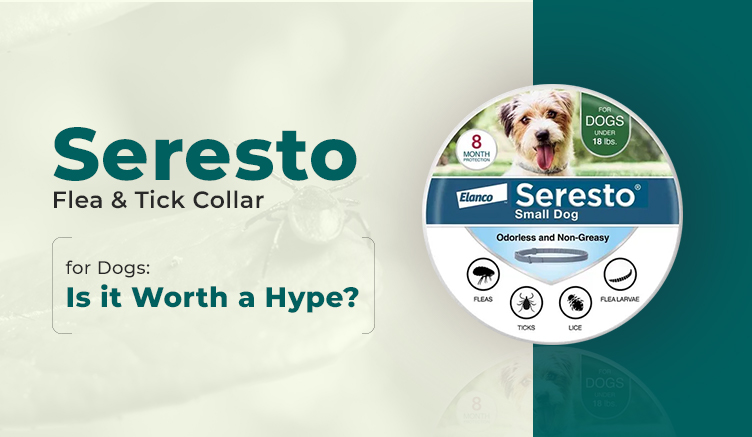 Seresto Flea &amp; Tick Collar for Dogs: Is it Worth a Hype?