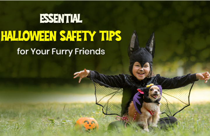 Essential Halloween Safety Tips for Your Furry Friends