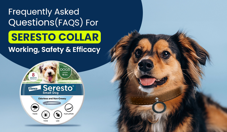 Seresto Collar for Dogs – FAQs on Safety, Effectiveness &amp; How It Works