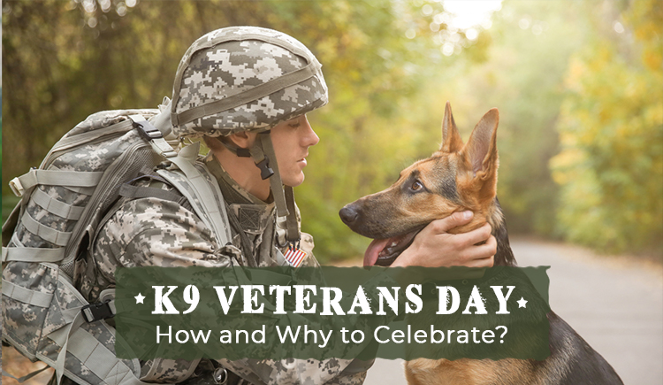 HOW TO CELEBRATE NATIONAL K9 VETERANS DAY