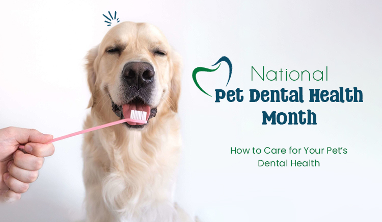 Pet Care, National Dental Health Month