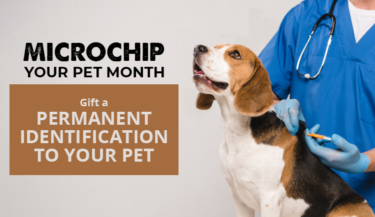 Microchip Your Pet Month