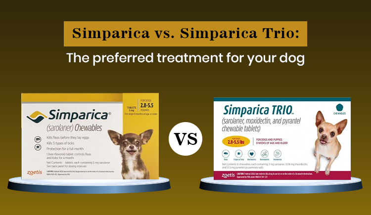 Simparica vs. Simparica Trio: The preferred treatment for your dog