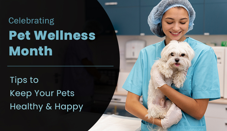 Pet Wellness Month- Tips to Keep Your Pets Healthy & Happy