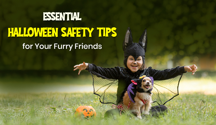Halloween Essential Safety Tips