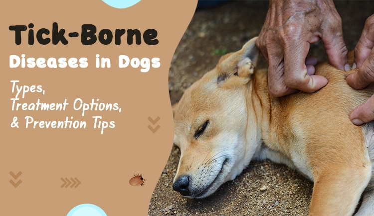 Tick-Borne Diseases